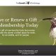Colorful hummingbird perched, symbolizing the impact of CLO membership on wildlife conservation and bird discovery. Join or renew your membership today.